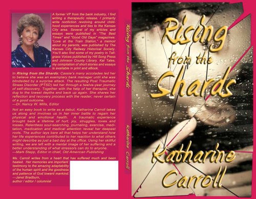 Shards CS cover 3-12-2013 Redo5X small